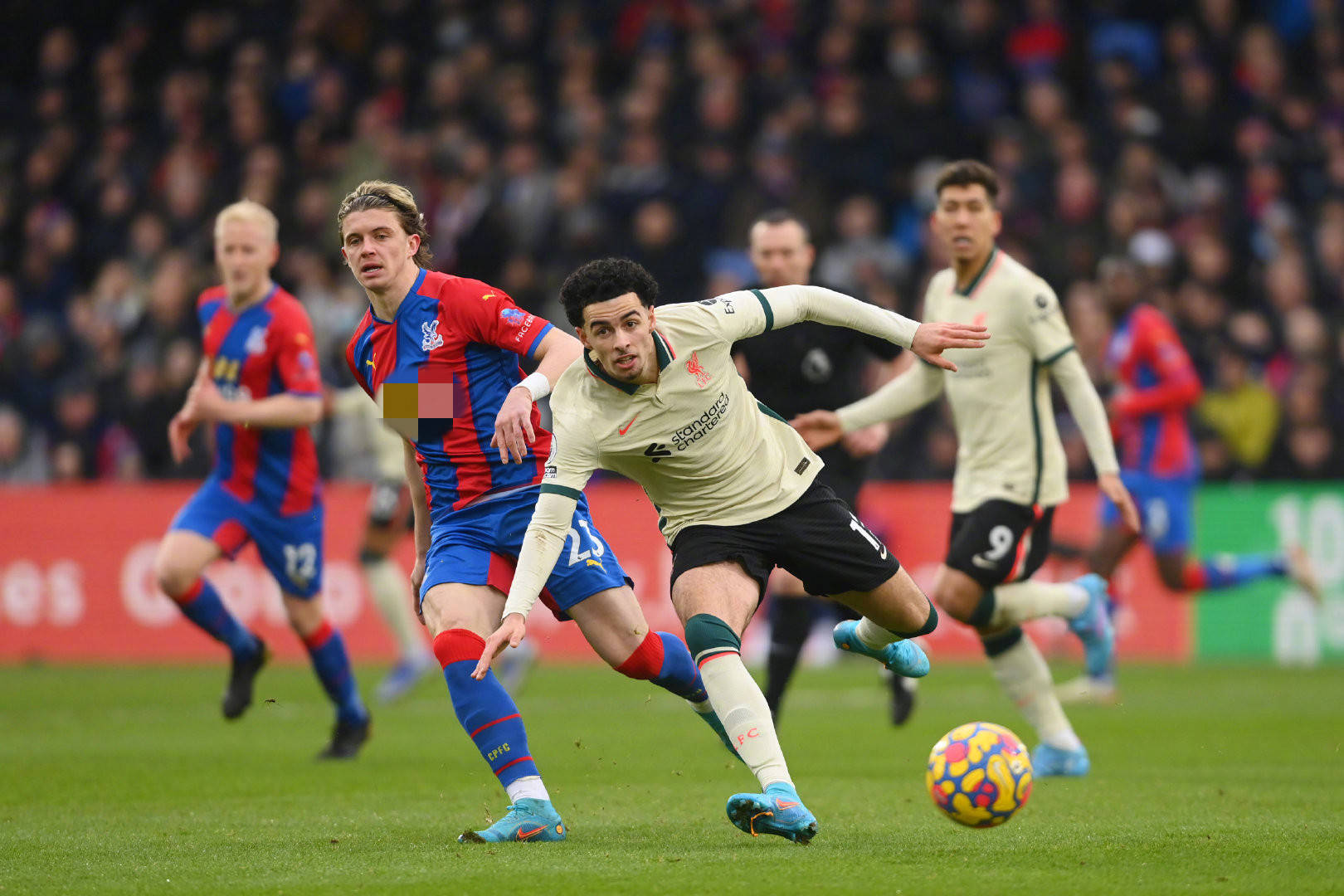 地25周年 地25周年